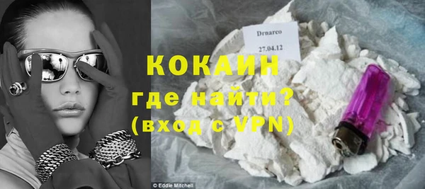 шишки Осинники