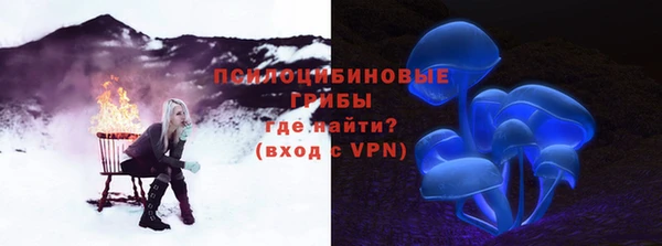 шишки Осинники